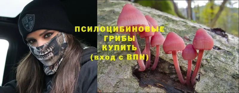 Псилоцибиновые грибы MAGIC MUSHROOMS  Пугачёв 